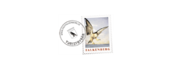 Visit Falkenberg