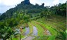 theisland