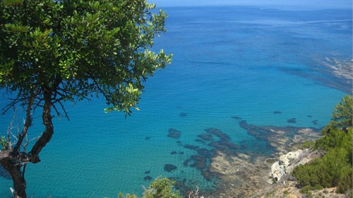 The Island