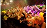 barsandnightlife