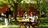 cafes