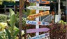 essentialinformation