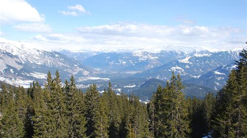 The region