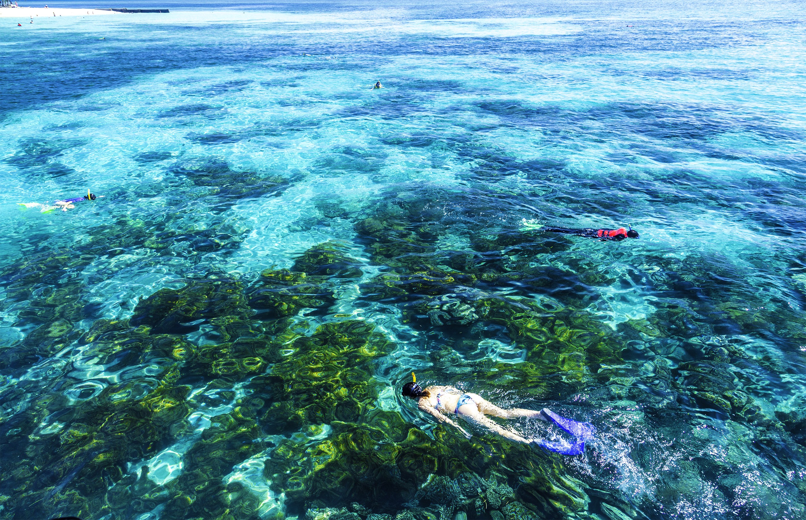 Great Barrier Reef - Cairns - Arrivalguides.com