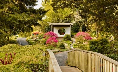 Auckland Botanic Gardens