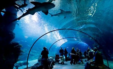 Rotterdam Zoo