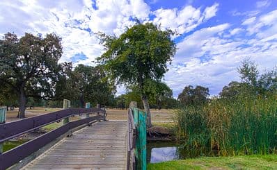 Shumway Oak Grove Regional Park