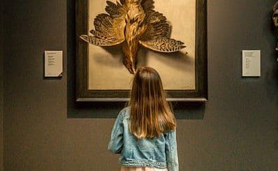 Groeninge Museum