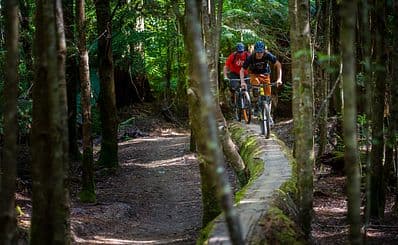 Blue Derby Mountain Bike Trail