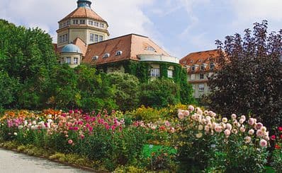 Botanical Garden (Palmengarten)