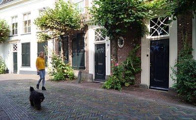 Wall Houses