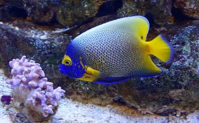Aquaria KLCC
