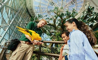 The Green Planet