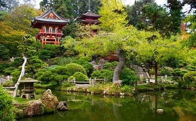 Golden Gate Park