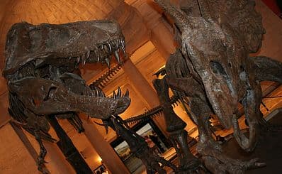 Natural History Museum of Los Angeles County