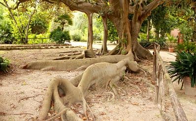 Botanical Garden