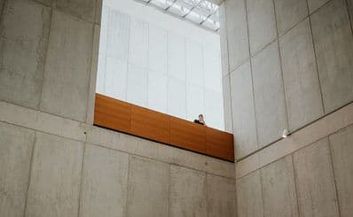 Museum of Fine Arts