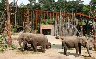 Amersfoort Zoo