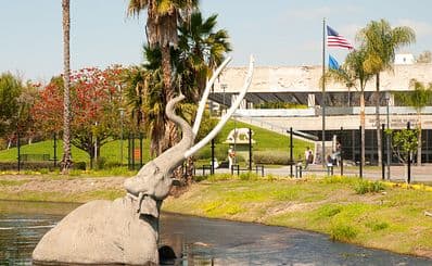La Brea Tar Pits and Museum